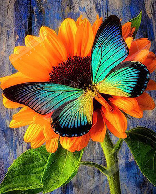 Sunflower Butterfly Diamond Painting – All Diamond Painting Art